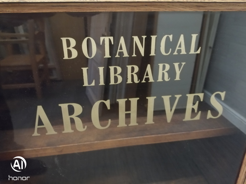 Antique Oak glazed fronted bookcase display unit