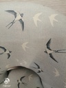 Single Upholstered swallow bird print Chair