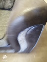 DFS GREY TONED PILLOW BACK CORNER SOFA