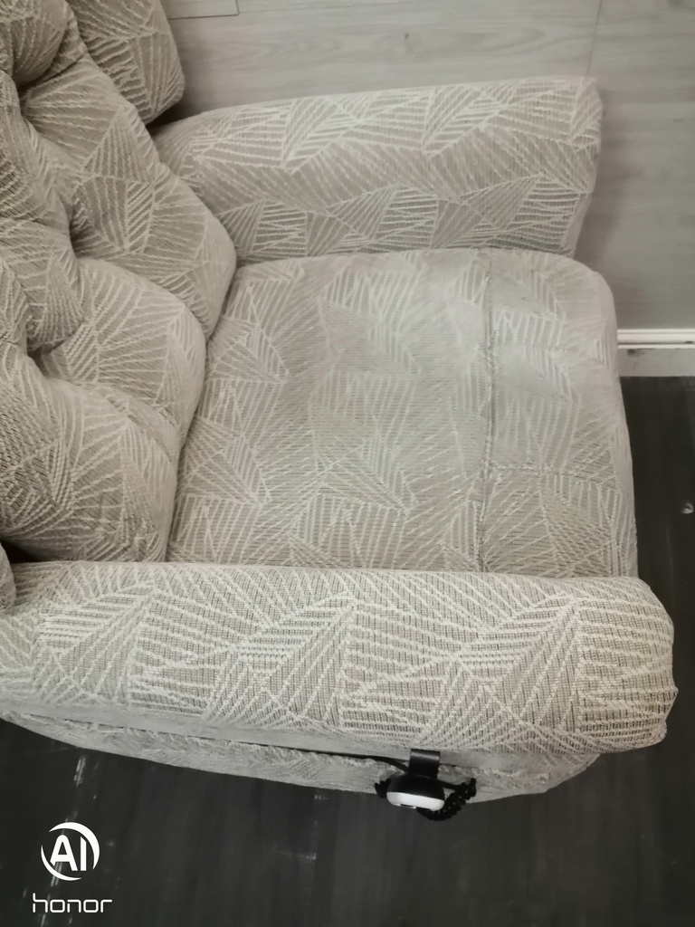 BARGAIN CARE CO RISE AND RECLINE ARMCHAIR