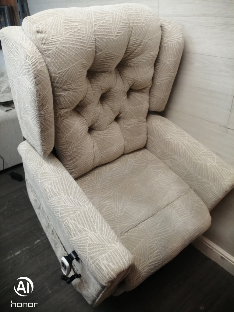 BARGAIN CARE CO RISE AND RECLINE ARMCHAIR