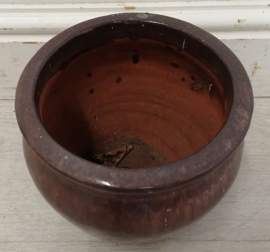 Small Brown Pot