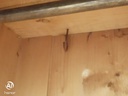 lovely antique old pine wardrobe